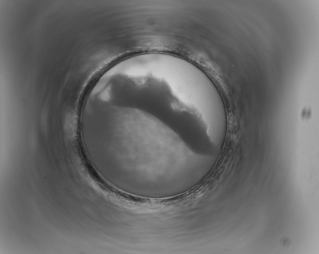 X0000097630012200803071541