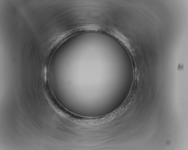 X0000097630013200803071541