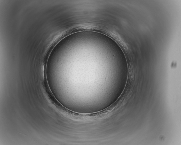 X0000097630014200803071541