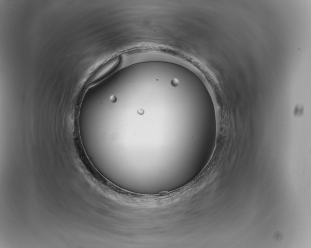 X0000097630015200803071541