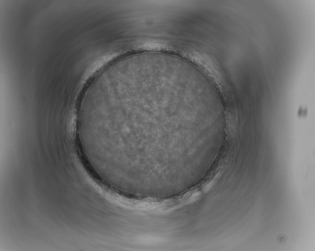 X0000097630016200803071541