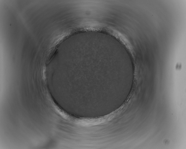 X0000097630017200803071541