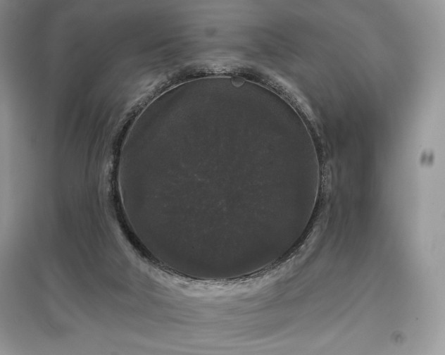 X0000097630018200803071541