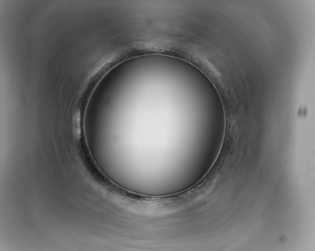 X0000097630020200803071541