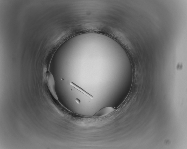 X0000097630021200803071541