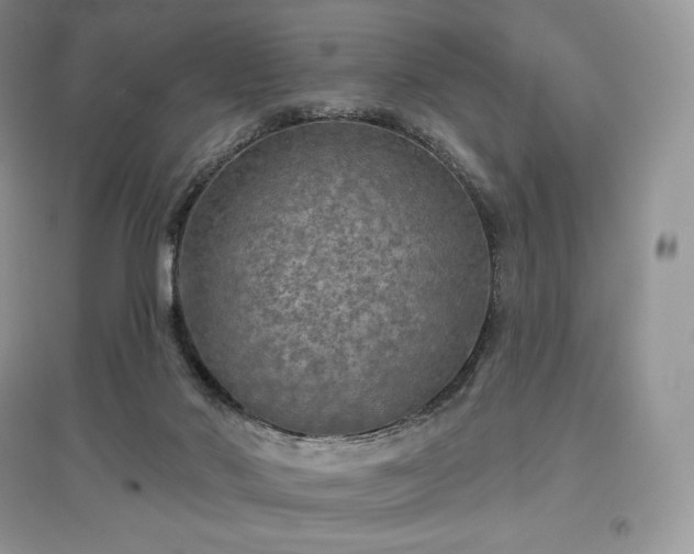 X0000097630022200803071541