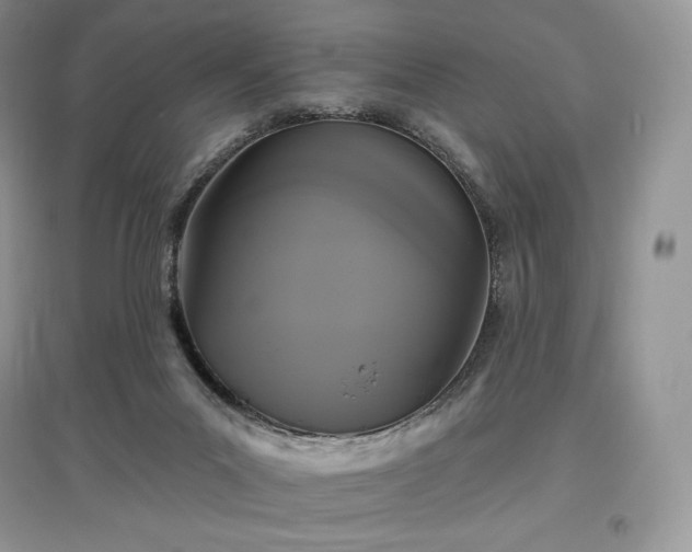 X0000097630023200803071541