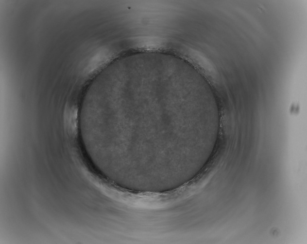 X0000097630024200803071541