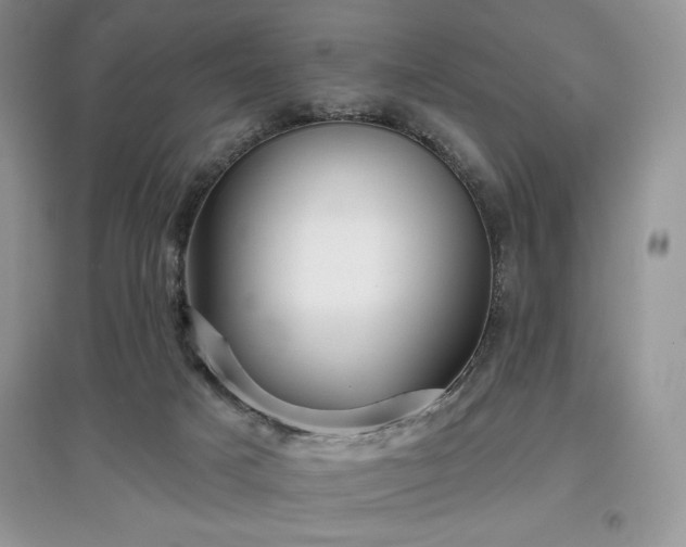 X0000097630025200803071541