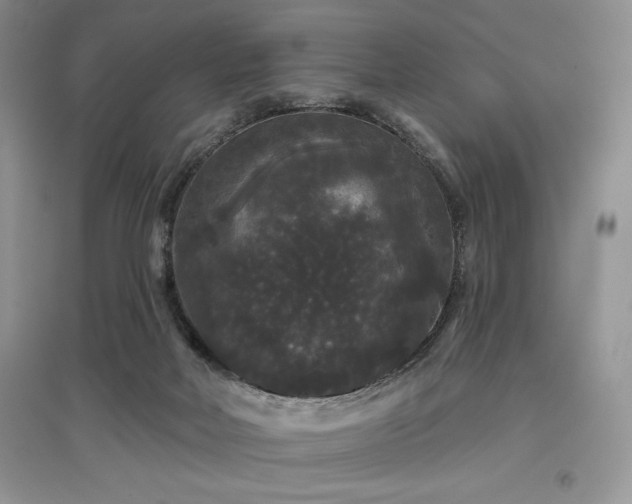 X0000097630026200803071541