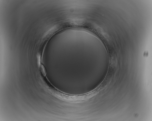 X0000097630027200803071541