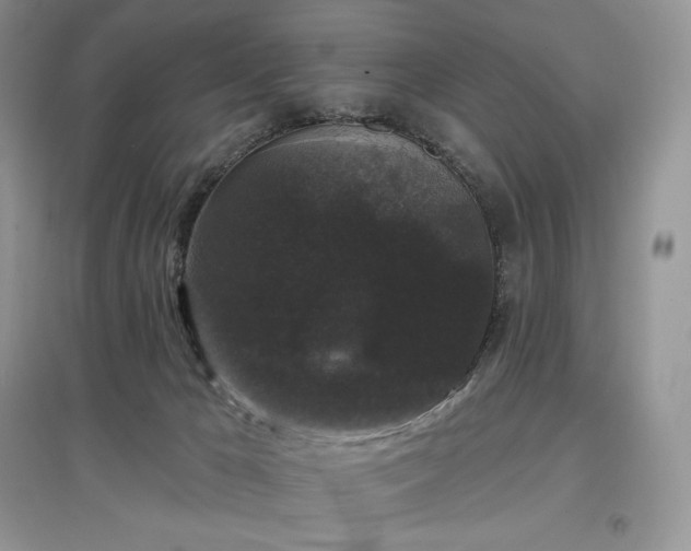 X0000097630029200803071541