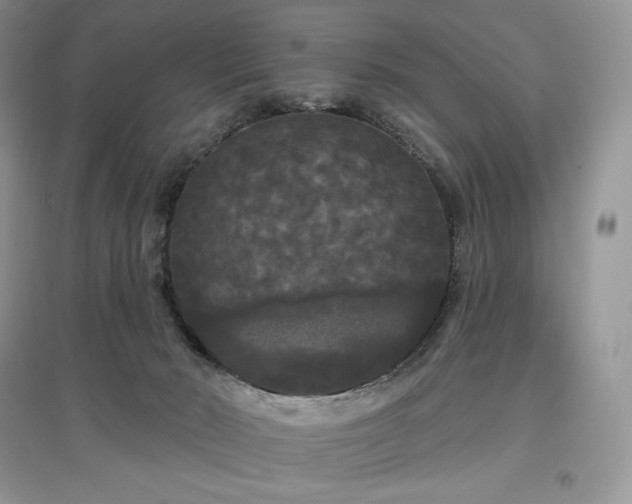 X0000097630030200803071541