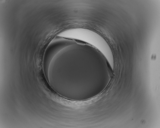 X0000097630031200803071541