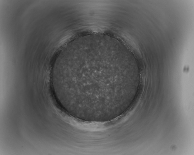 X0000097630032200803071541