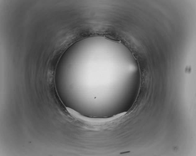 X0000097630033200803071541