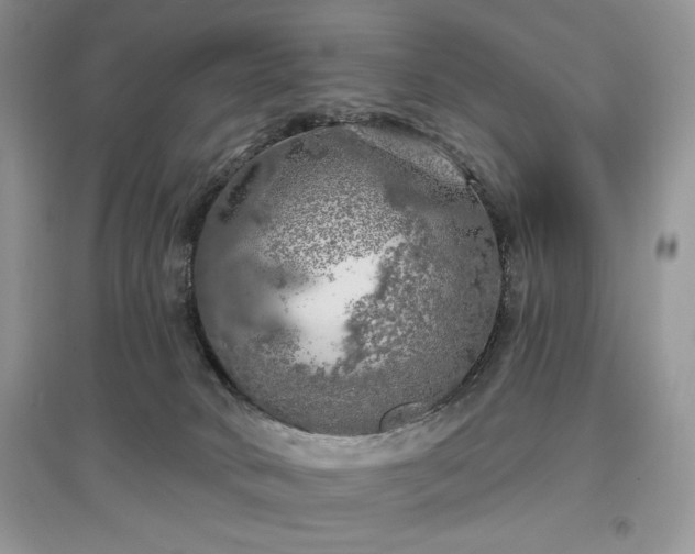 X0000097630034200803071541