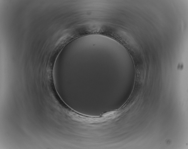 X0000097630035200803071541