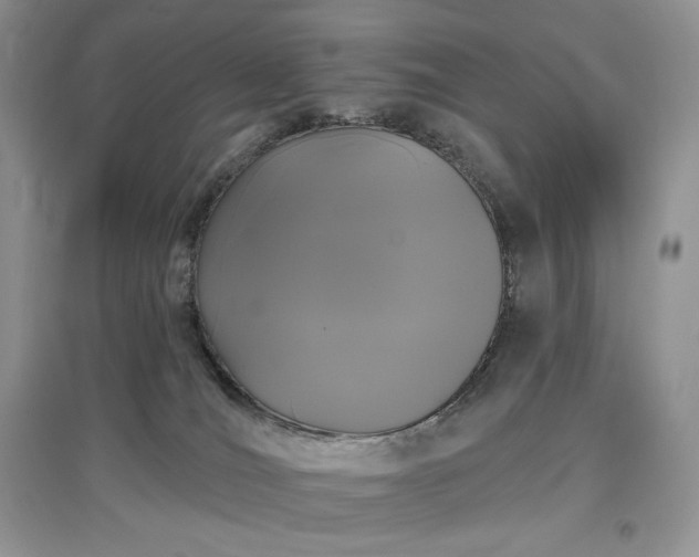 X0000097630036200803071541