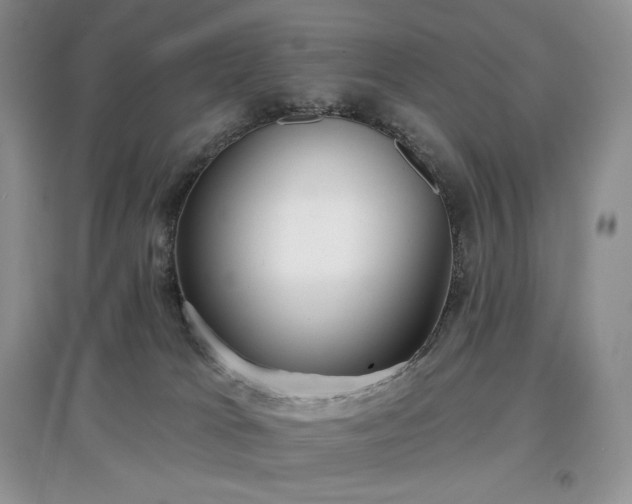 X0000097630037200803071541