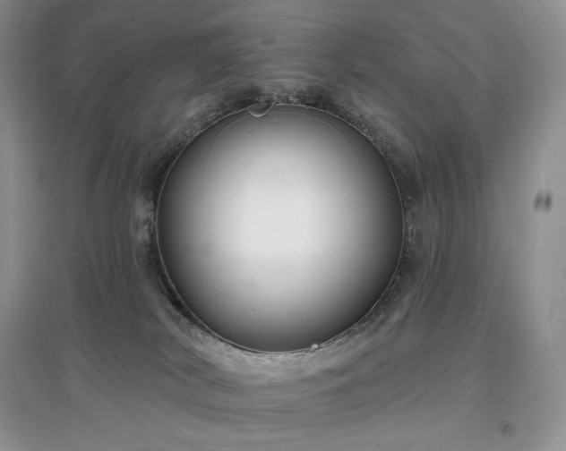 X0000097630038200803071541