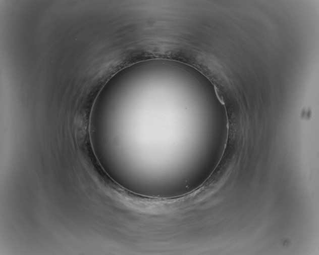 X0000097630040200803071540