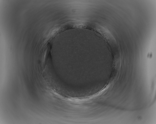 X0000097630041200803071540