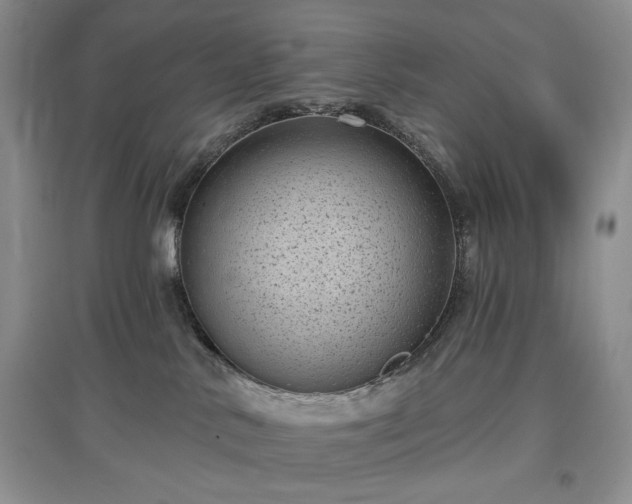 X0000097630042200803071540