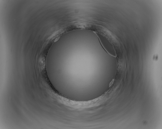 X0000097630043200803071540