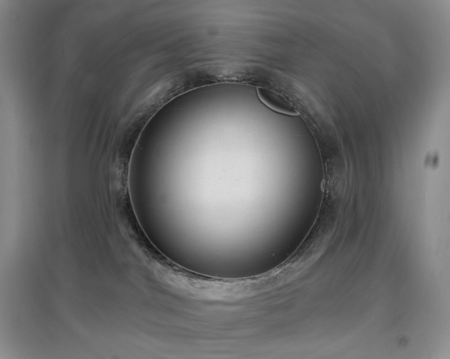 X0000097630044200803071540