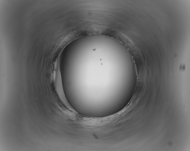 X0000097630045200803071540