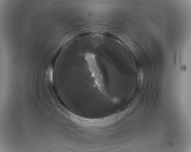 X0000097630046200803071540