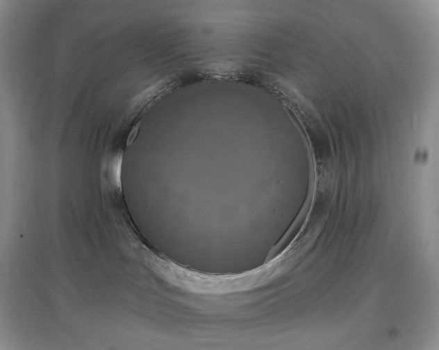 X0000097630047200803071540