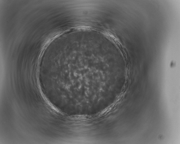 X0000097630049200803071540