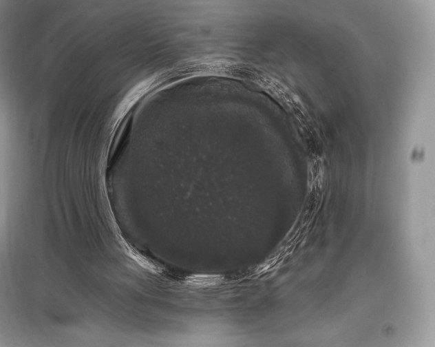 X0000097630051200803071540