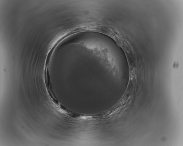 X0000097630052200803071540