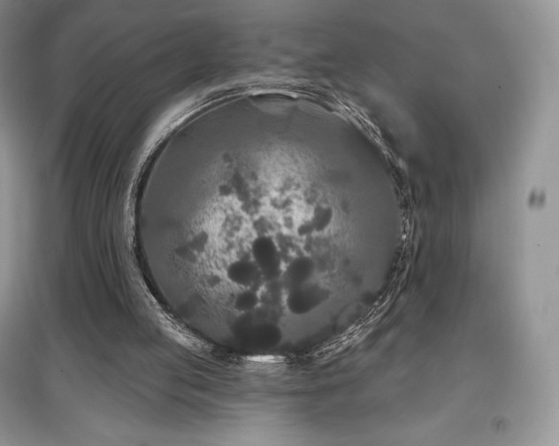 X0000097630053200803071540