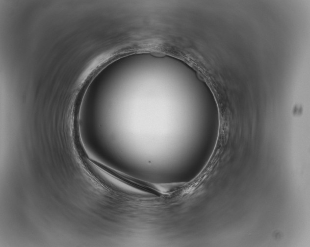 X0000097630054200803071540