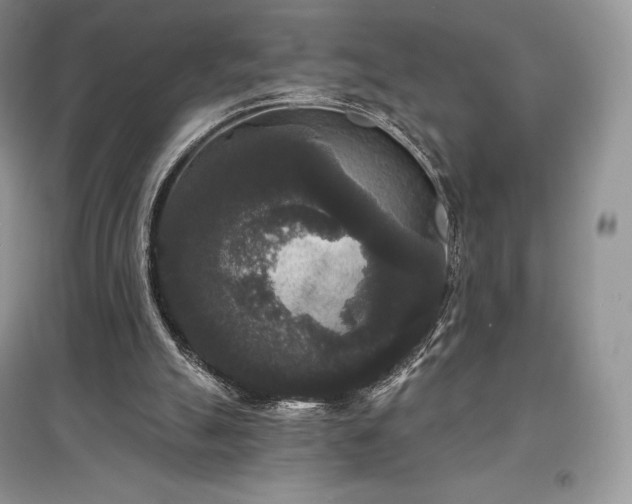 X0000097630055200803071540