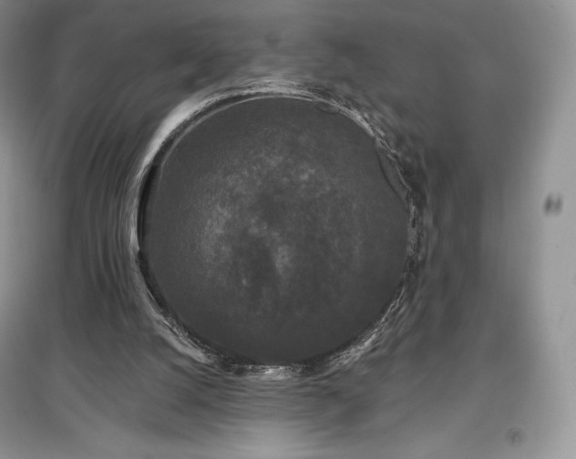 X0000097630056200803071540