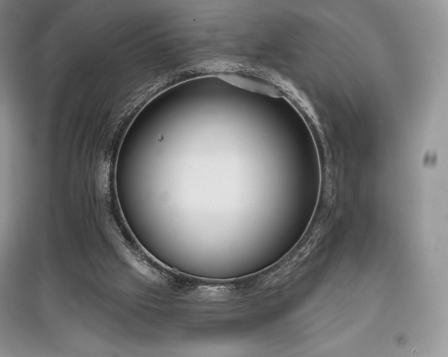 X0000097630057200803071540