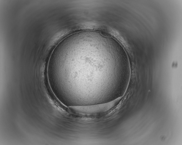 X0000097630058200803071540