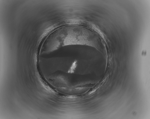 X0000097630059200803071540