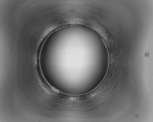 X0000097630060200803071540