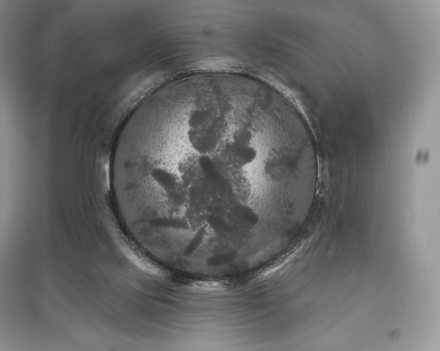 X0000097630061200803071540