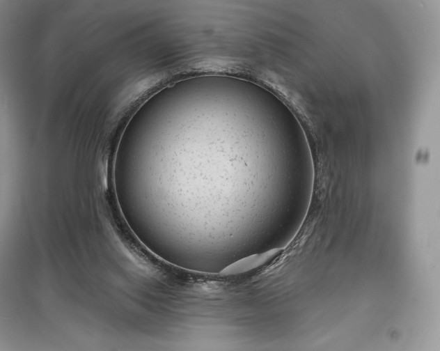 X0000097630062200803071540