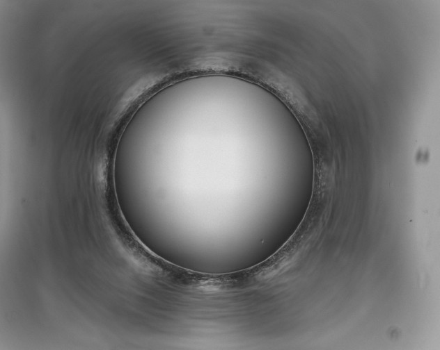 X0000097630064200803071540