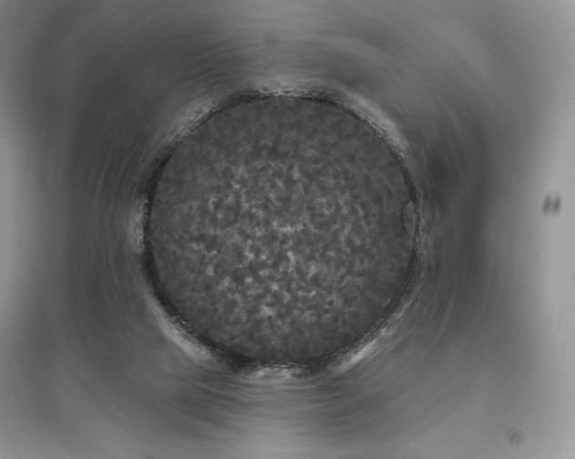 X0000097630065200803071540