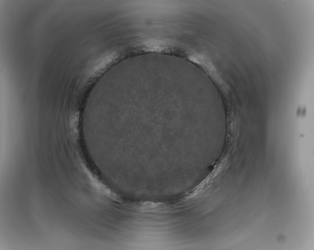 X0000097630066200803071540