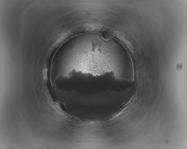 X0000097630067200803071540